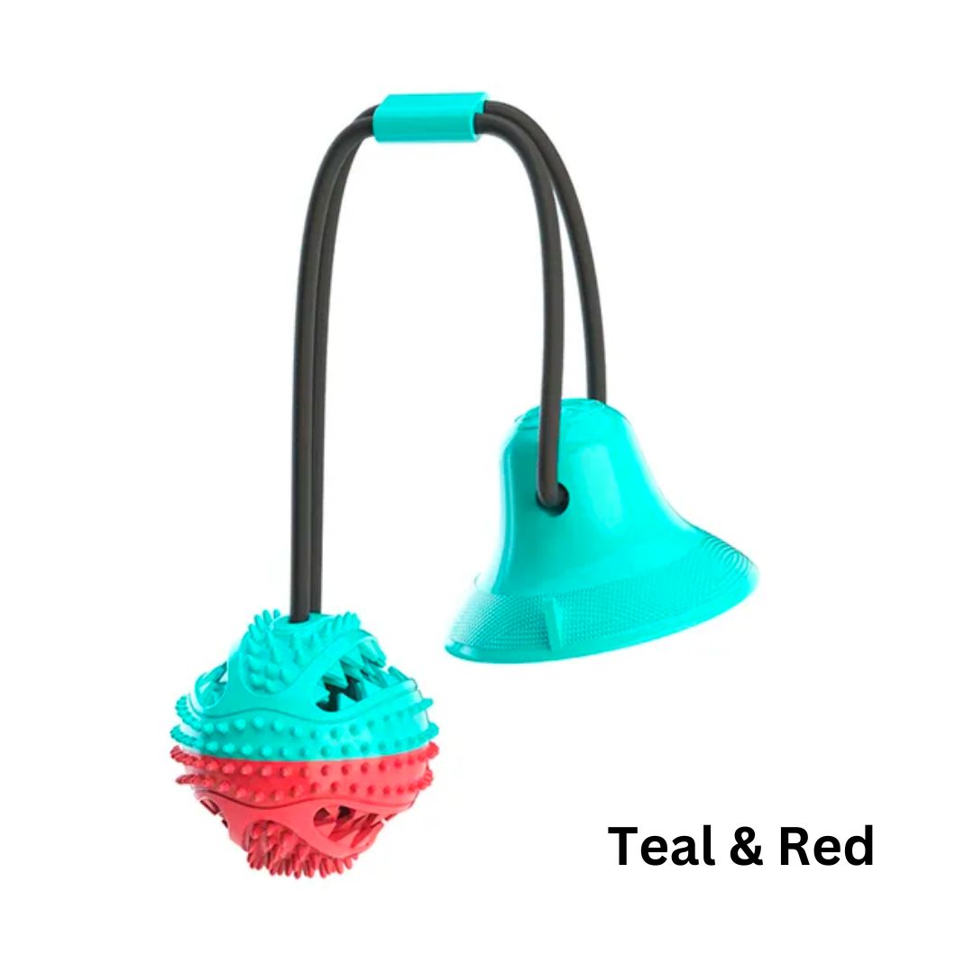 Energy Buster Interactive Dog Feeder