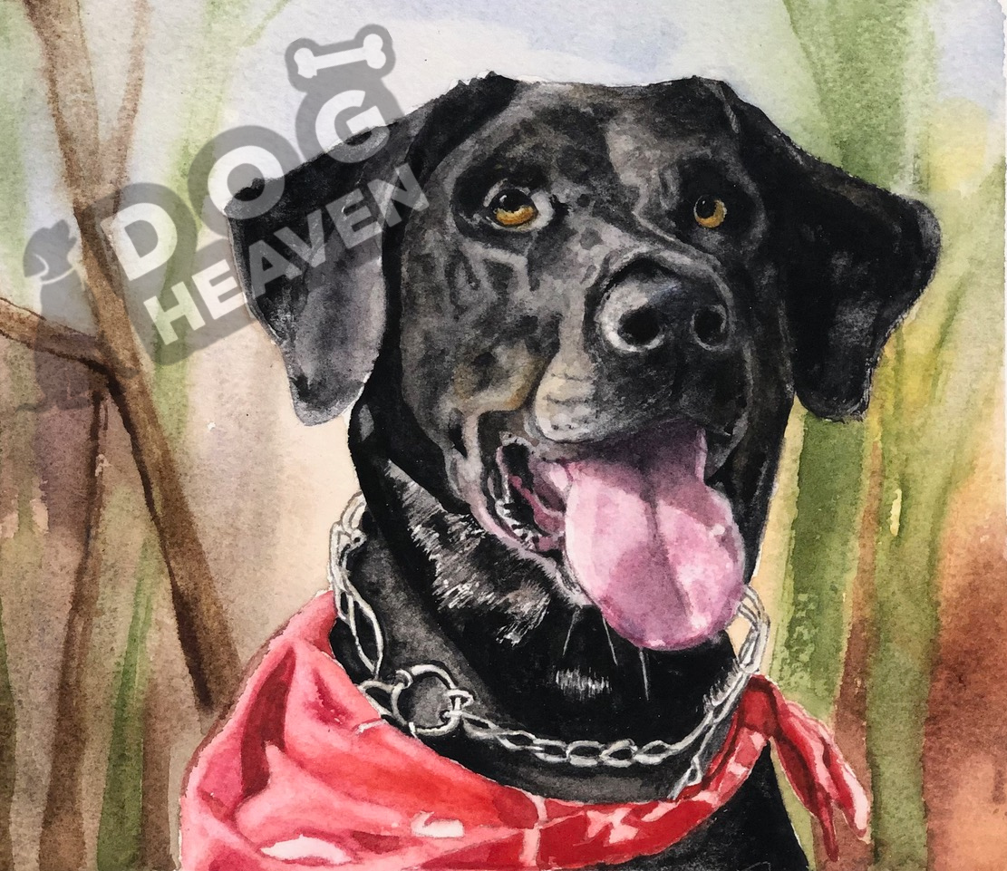Dog Heaven™ Pet Portraits