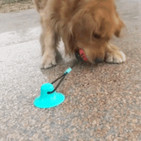 Thumbnail for Energy Buster Interactive Dog Feeder