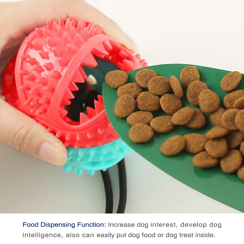 Energy Buster Interactive Dog Feeder