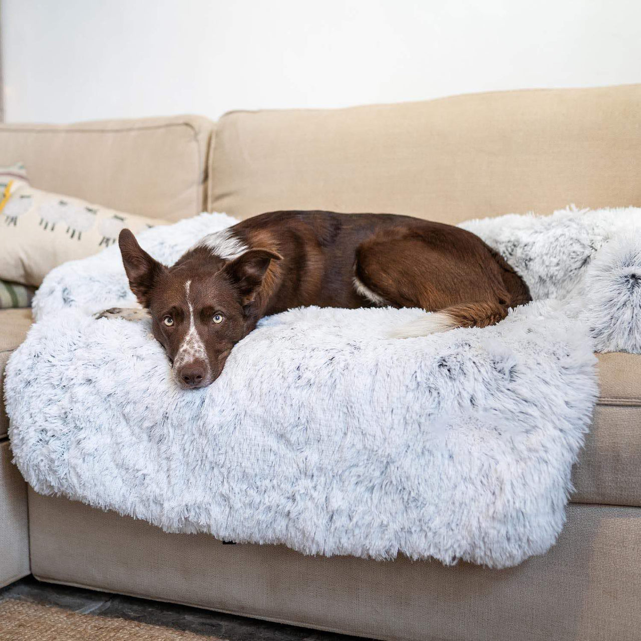 Dog Heaven™ PupCouch