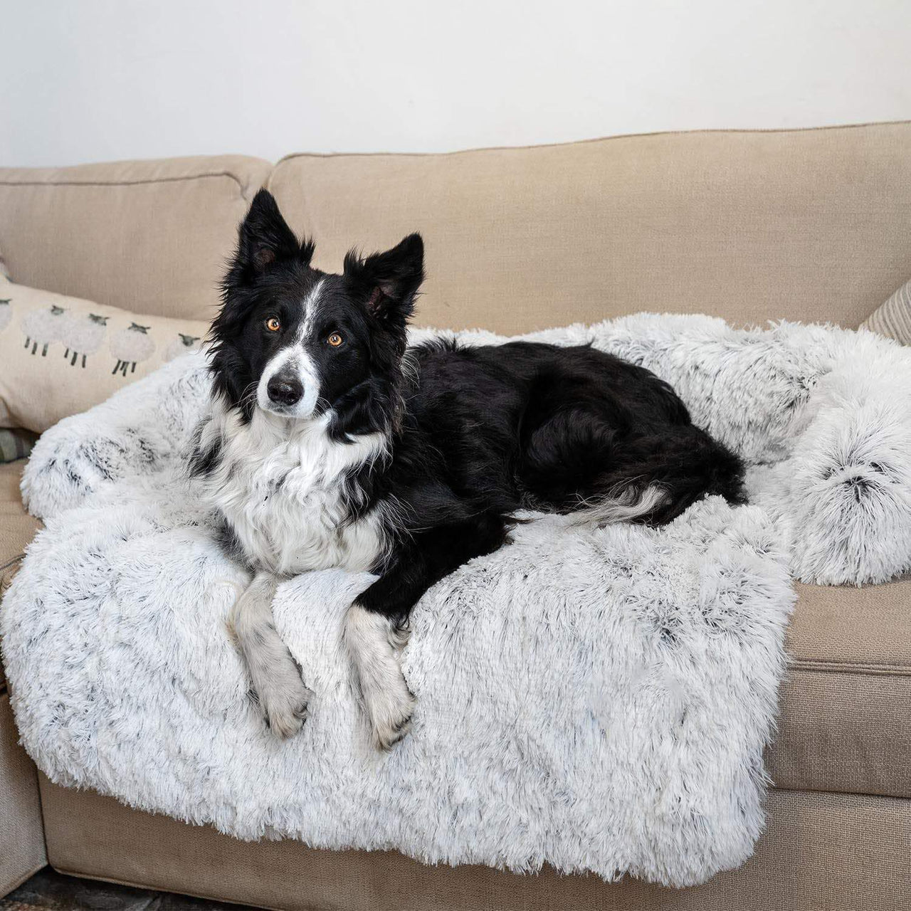 Dog Heaven™ PupCouch