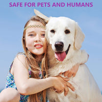 Thumbnail for Dog Heaven™ Calming Collar