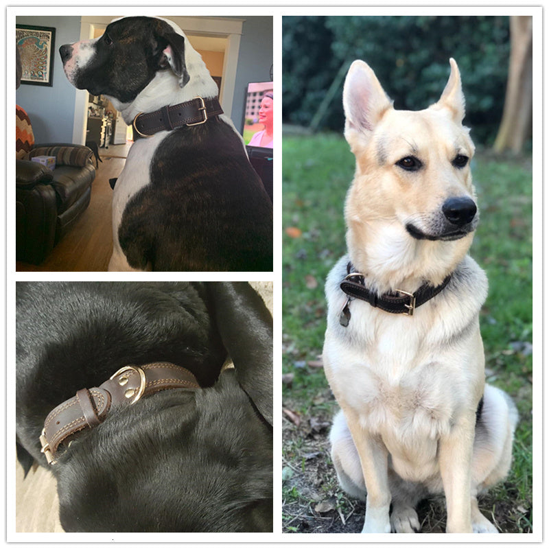 Dog Heaven™ Genuine Leather Collar