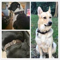 Thumbnail for Dog Heaven™ Genuine Leather Collar