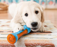 Thumbnail for Dog Heaven™ Interactive Toys