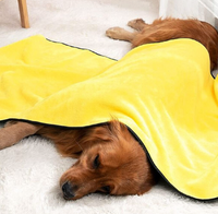 Thumbnail for Dog Heaven™ Quick Dry Towel