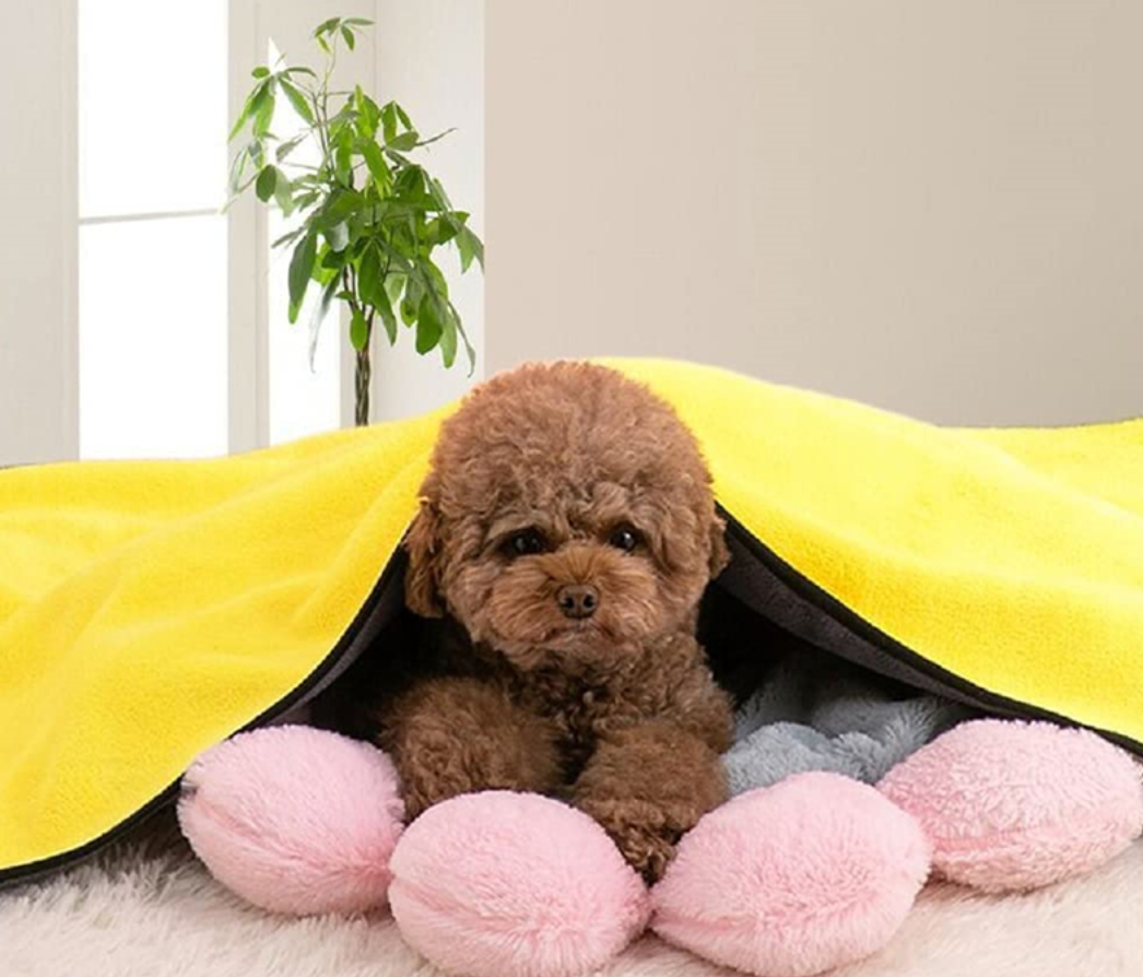 Dog Heaven™ Quick Dry Towel