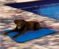 Thumbnail for Dog Heaven™ Cooling Gel Pad