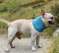 Thumbnail for Dog Heaven™ Cooling Neck Wrap