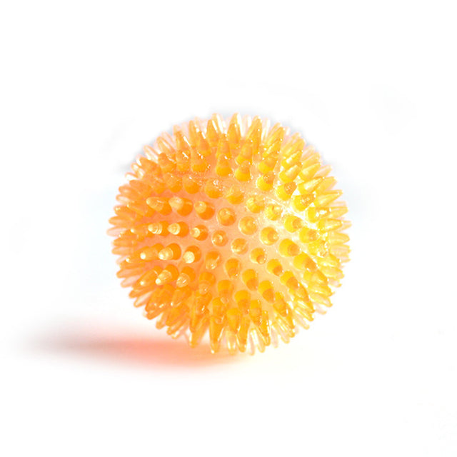 Dog Heaven™ Spiky Squeaker Ball