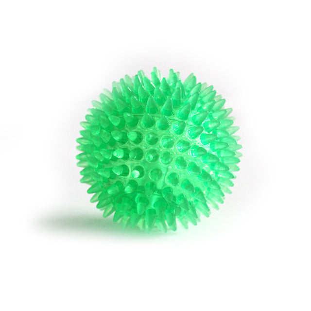 Dog Heaven™ Spiky Squeaker Ball