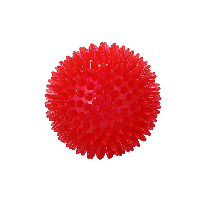 Dog Heaven™ Spiky Squeaker Ball