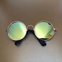 Thumbnail for Dog Heaven™ Retro Glasses