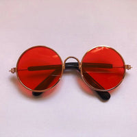 Thumbnail for Dog Heaven™ Retro Glasses