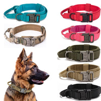 Thumbnail for Dog Heaven™ Heavy Duty Collar & Bungee Leash