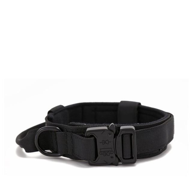 Dog Heaven™ Heavy Duty Collar & Bungee Leash