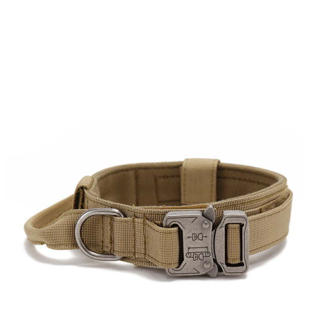 Dog Heaven™ Heavy Duty Collar & Bungee Leash