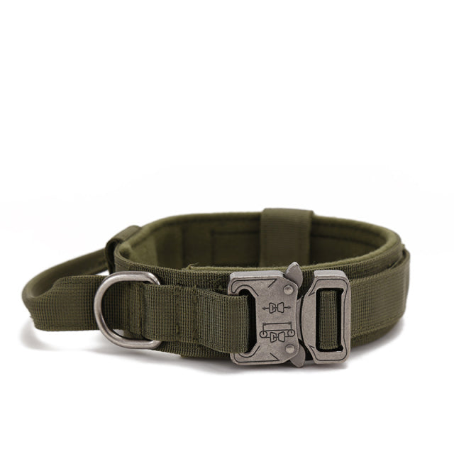 Dog Heaven™ Heavy Duty Collar & Bungee Leash