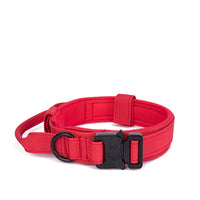 Thumbnail for Dog Heaven™ Heavy Duty Collar & Bungee Leash