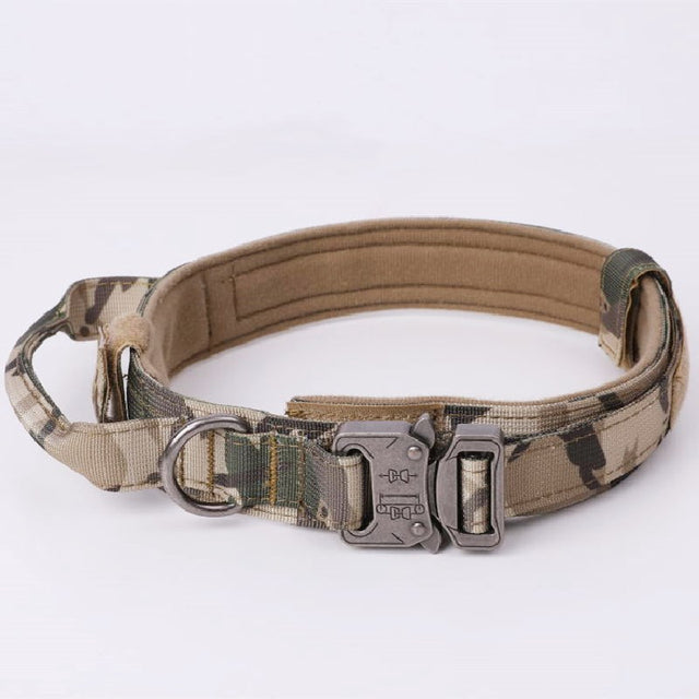 Dog Heaven™ Heavy Duty Collar & Bungee Leash