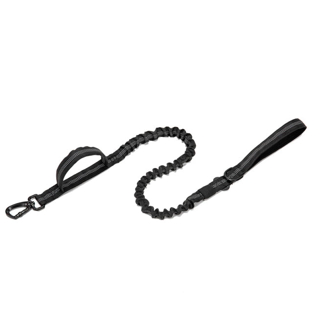 Dog Heaven™ Heavy Duty Collar & Bungee Leash
