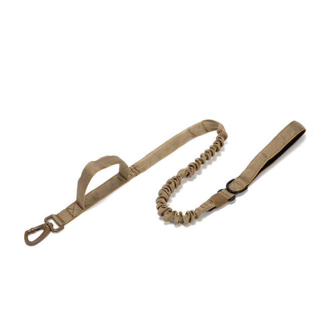 Dog Heaven™ Heavy Duty Collar & Bungee Leash