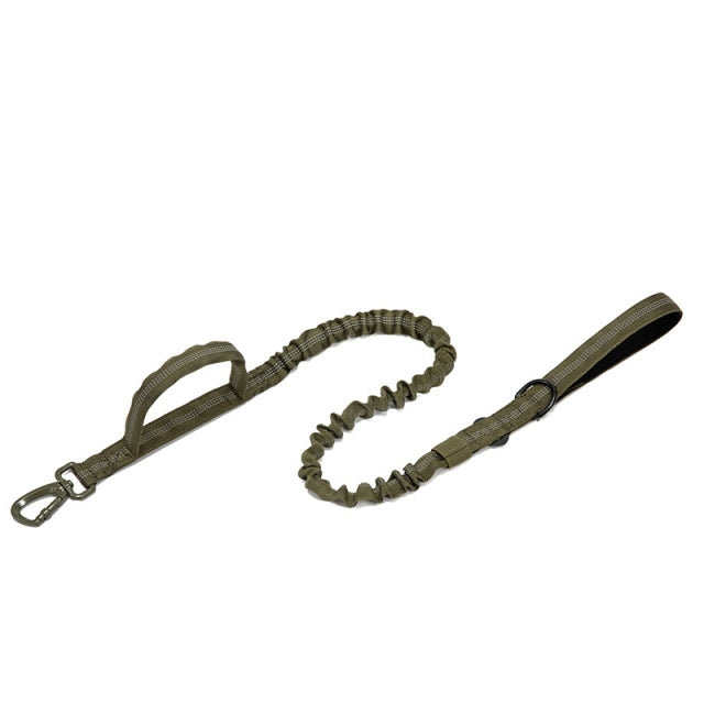 Dog Heaven™ Heavy Duty Collar & Bungee Leash