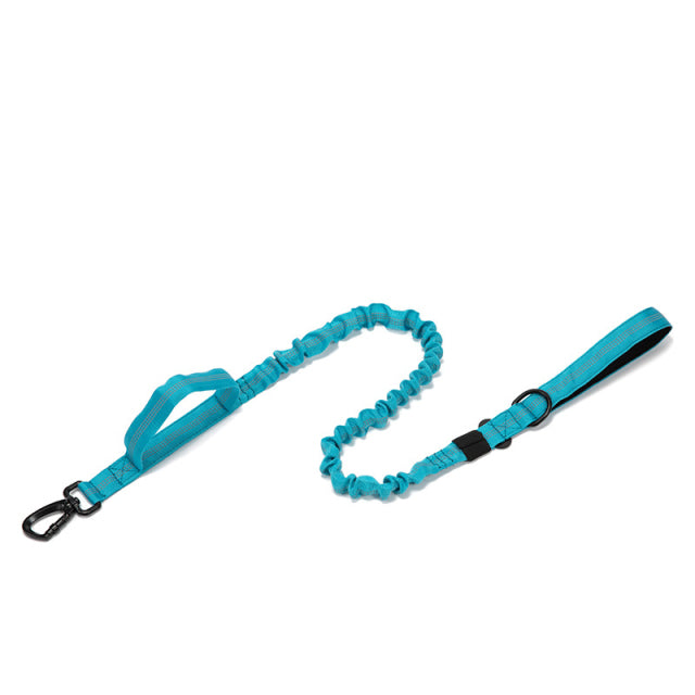 Dog Heaven™ Heavy Duty Collar & Bungee Leash