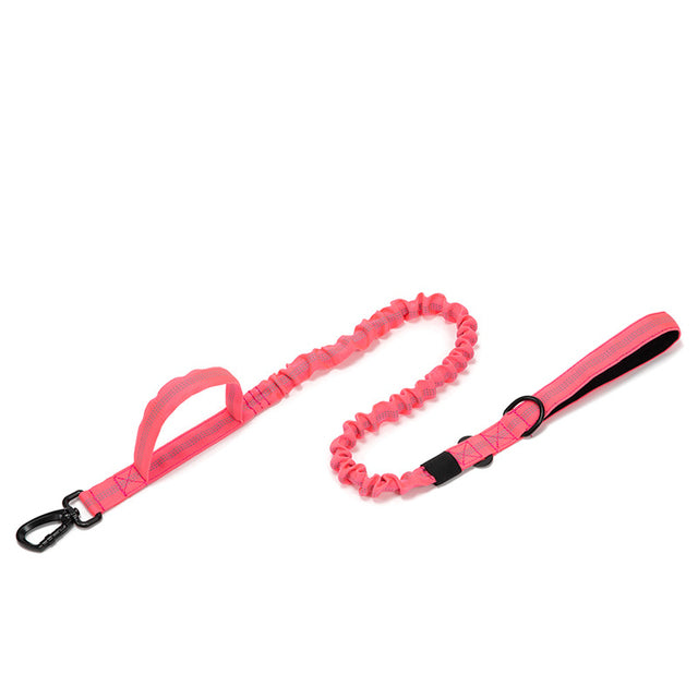Dog Heaven™ Heavy Duty Collar & Bungee Leash