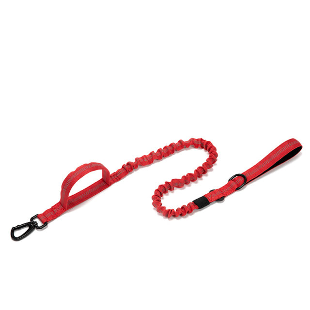 Dog Heaven™ Heavy Duty Collar & Bungee Leash
