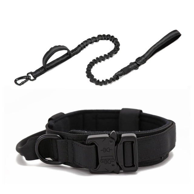 Dog Heaven™ Heavy Duty Collar & Bungee Leash
