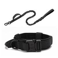 Thumbnail for Dog Heaven™ Heavy Duty Collar & Bungee Leash