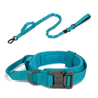 Thumbnail for Dog Heaven™ Heavy Duty Collar & Bungee Leash