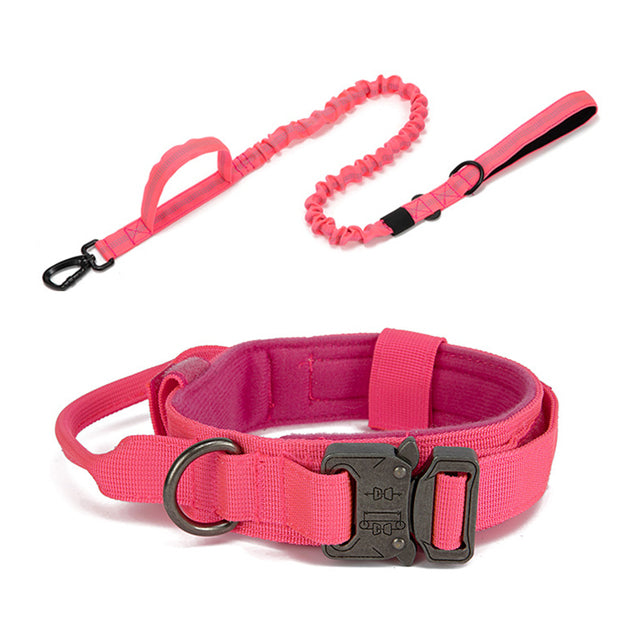 Dog Heaven™ Heavy Duty Collar & Bungee Leash