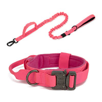 Thumbnail for Dog Heaven™ Heavy Duty Collar & Bungee Leash