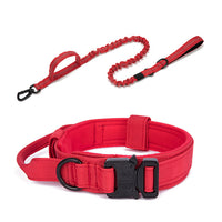 Thumbnail for Dog Heaven™ Heavy Duty Collar & Bungee Leash