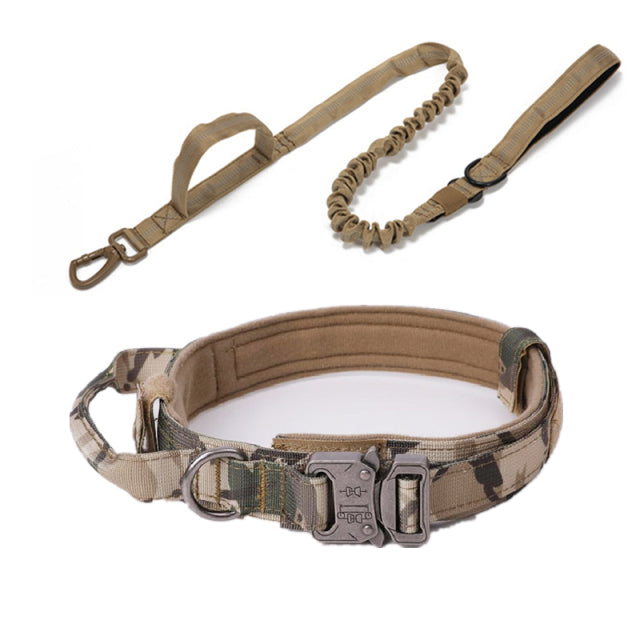 Dog Heaven™ Heavy Duty Collar & Bungee Leash