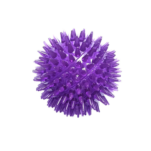 Dog Heaven™ Spiky Squeaker Ball