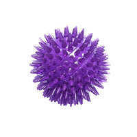 Thumbnail for Dog Heaven™ Spiky Squeaker Ball